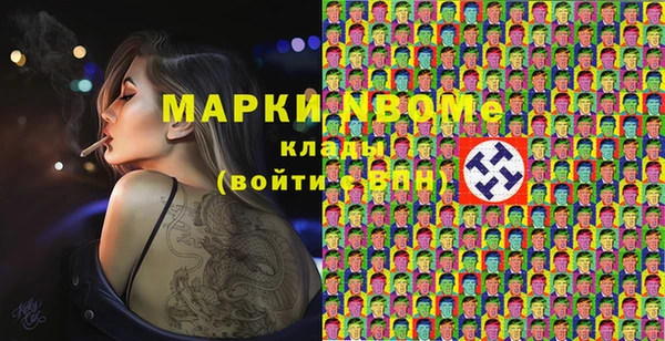 шишки Медногорск