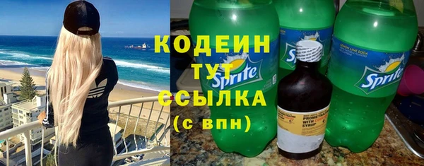 шишки Медногорск