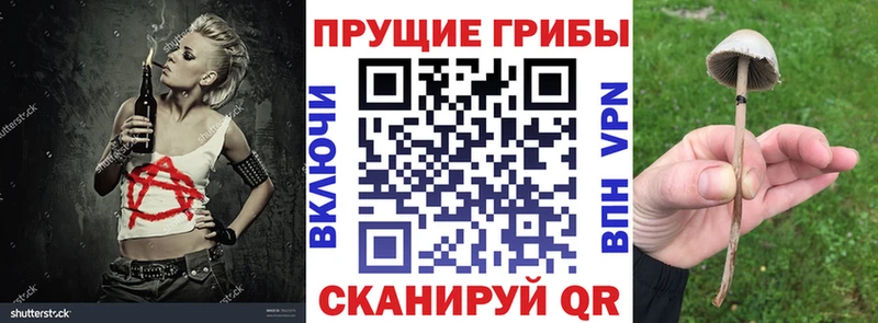 Галлюциногенные грибы GOLDEN TEACHER  даркнет сайт  Белая Калитва 