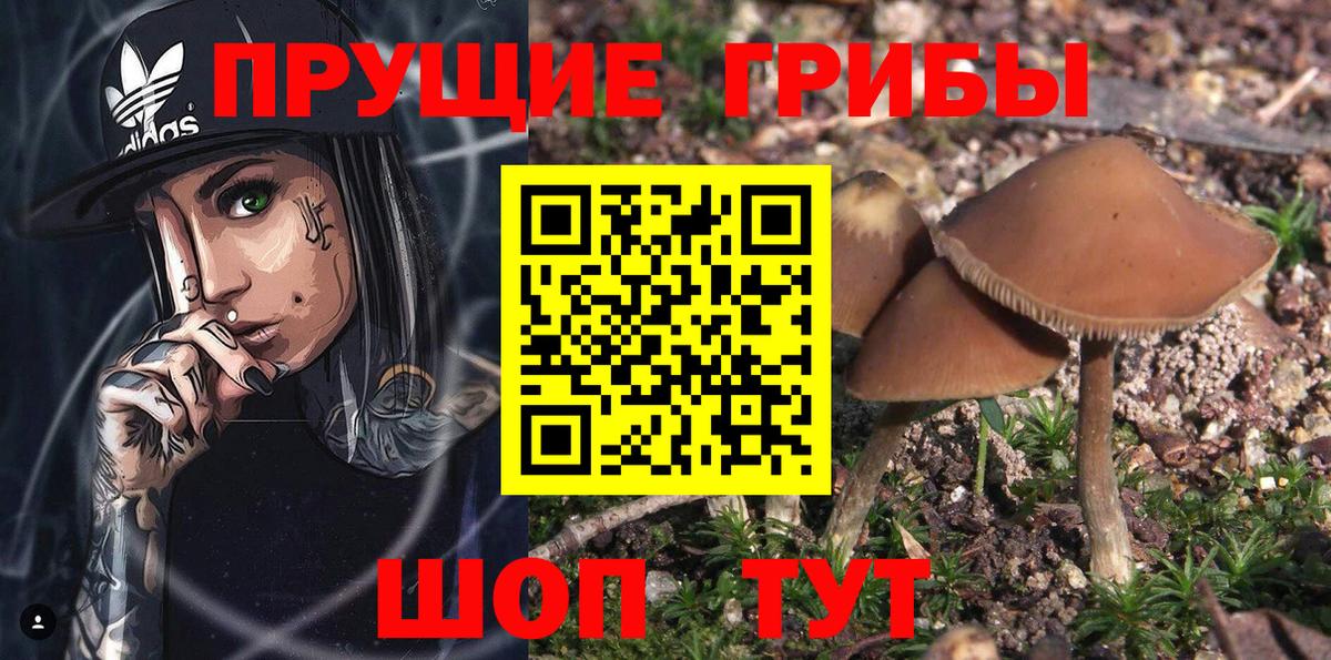 Галлюциногенные грибы мицелий Белая Калитва